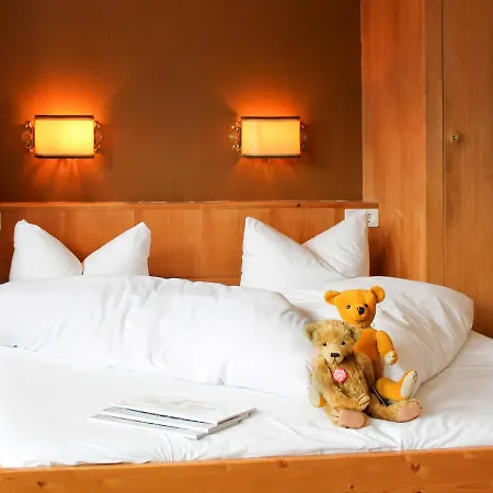 Rauter-2 By Interhome Mayrhofen